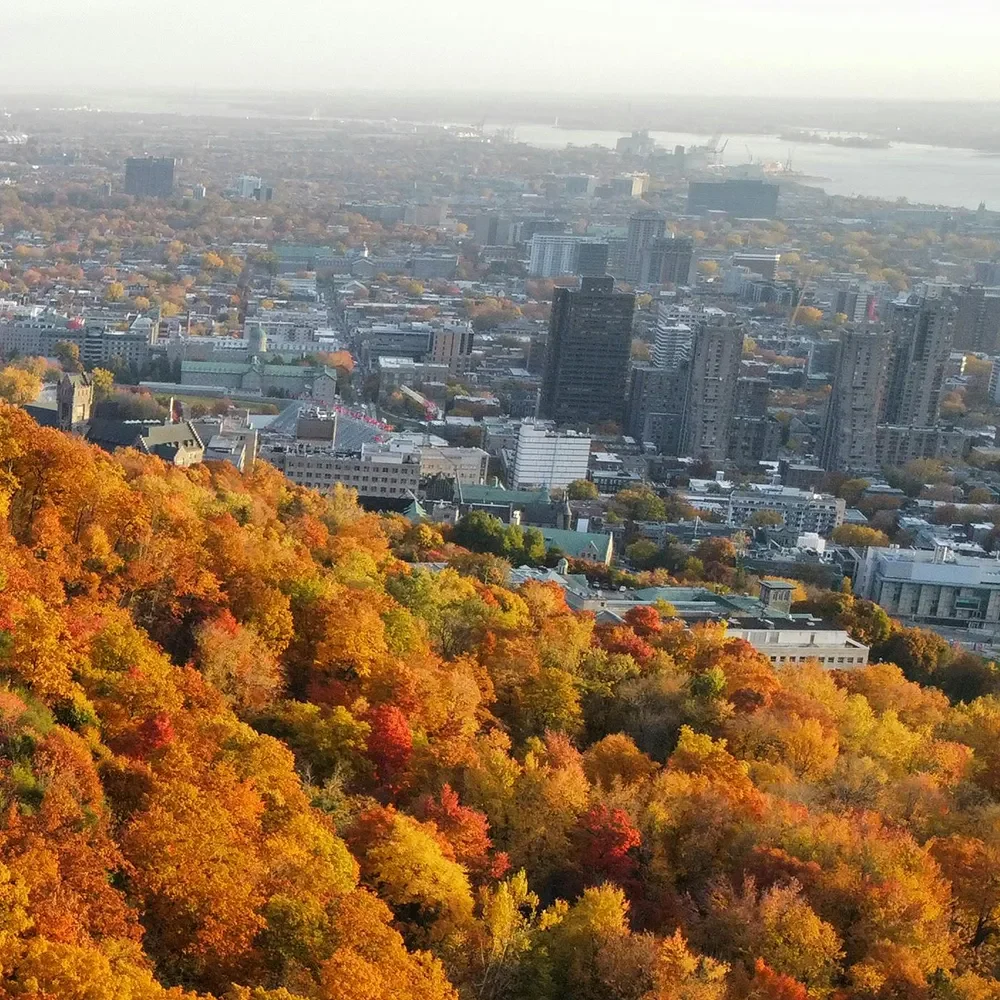 Aerial view of the Montreal skyline surrounded by autumn foliage with vibrant fall colours