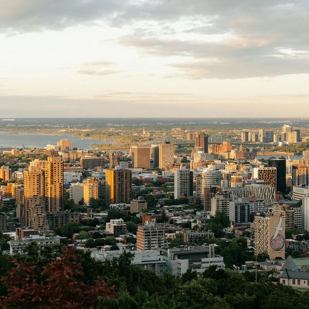 Montreal city skyline at sunset with dense urban buildings and warm light over the horizon.